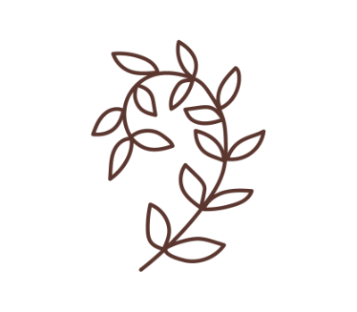 ใบไม้ png
