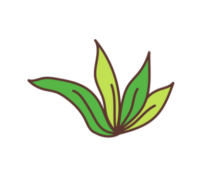 หญ้า png