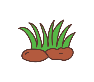 หญ้า png