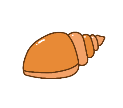 หอย png