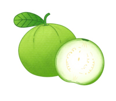 ฝรั่ง png