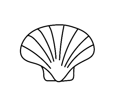 หอย ลายเส้น png
