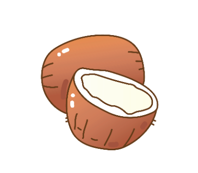 มะพร้าว png