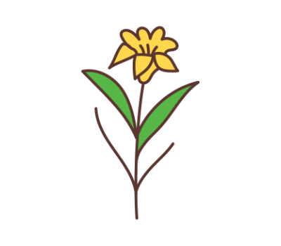 ดอกไม้ png