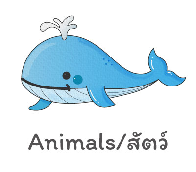 Animals/สัตว์