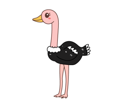 นกกระจอกเทศ png