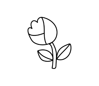 ดอกทิวลิป png