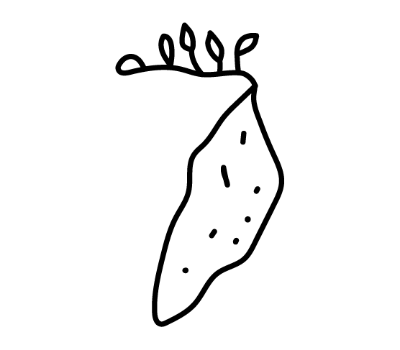 มันม่วง png