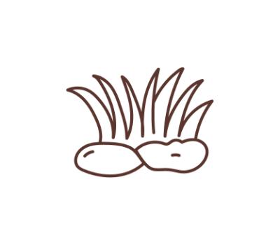 หญ้า png