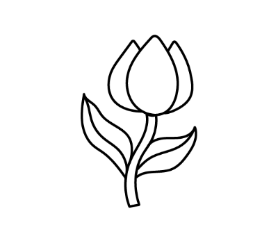 ดอกทิวลิป png