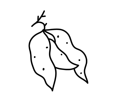 มันม่วง png