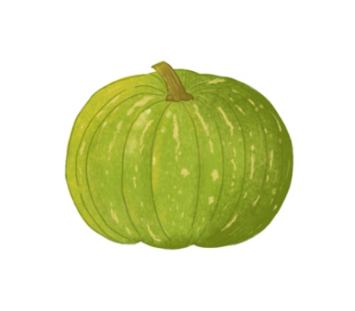 ฟักทอง png
