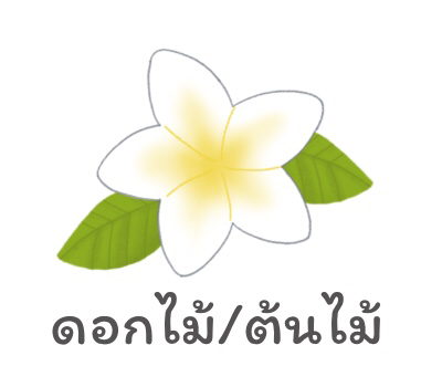 ต้นไม้/ดอกไม้