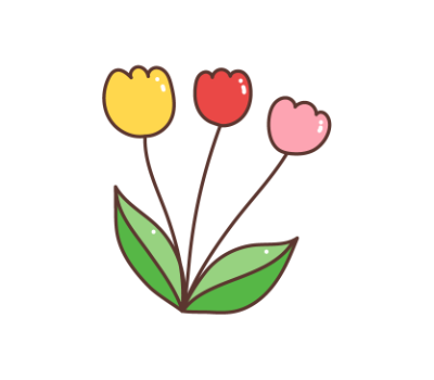 ดอกทิวลิป png