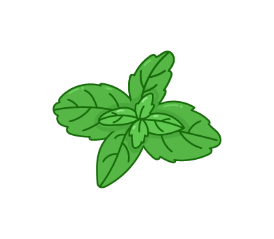 กะเพรา png