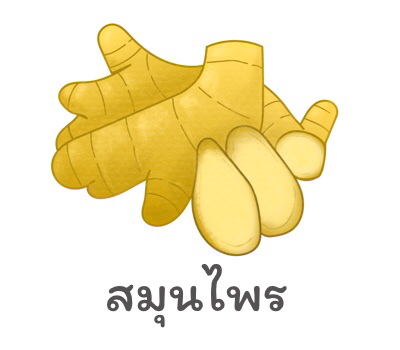 สมุนไพร