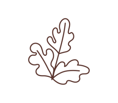 ใบไม้ png