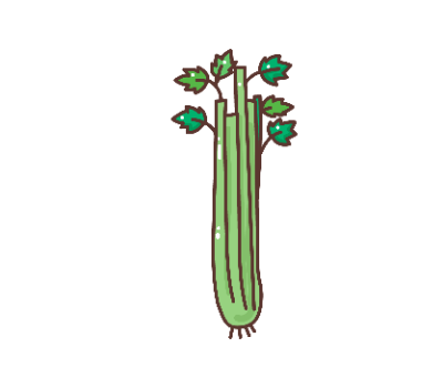 ผักชี png