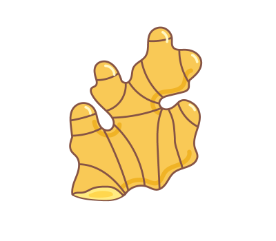 ขิง png