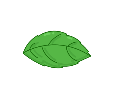 กะเพรา png