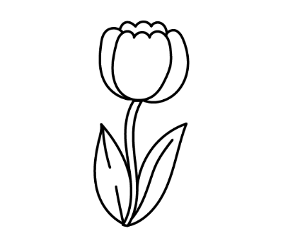 ดอกทิวลิป png
