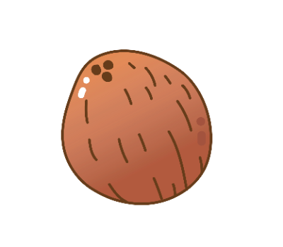 มะพร้าว png