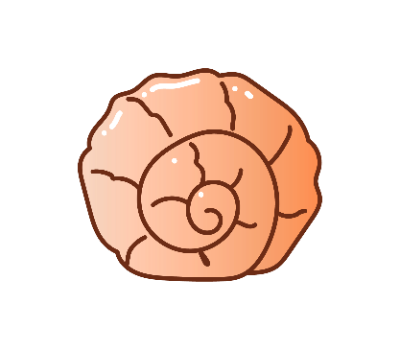 หอย png